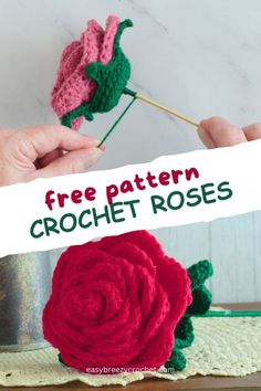 two crocheted roses are being held up with the words free pattern on them