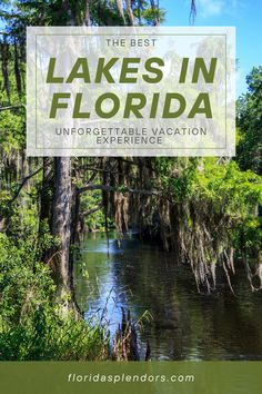 the best lakes in florida with text overlay