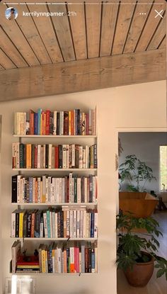 a bookshelf filled with lots of books next to a potted plant