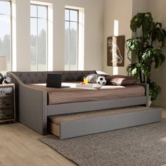 a living room with a couch, coffee table and potted plant in the corner