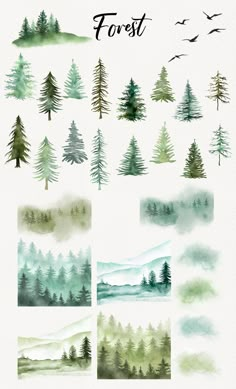 watercolor trees and birds are featured in this illustration, with the words forest above them