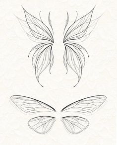 the outlines of two butterflies on a white background