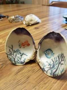 two seashells sitting on top of a wooden table