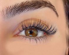 Light Natural Eyelash Extensions, False Eyelash Styles, Short Eye Lash Extensions, Natural Looking Individual Lashes, Lash Extensions For Protruding Eyes, Natural Full Eyelash Extensions, Eyelash Extensions Long Wispy, Natural Eyelash Extensions Before And After