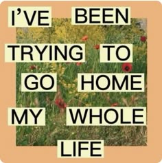 the words i've been trying to go home my whole life are cut into squares