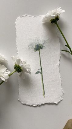 three white flowers are on top of a piece of paper that has been torn off