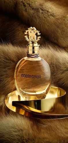 Roberto Cavalli Perfume, Perfume Versace, Beautiful Perfume Bottle, Beautiful Perfume, Perfume Scents, Perfume And Cologne, Perfume Design, Luxury Fragrance