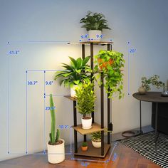 three tiered plant stand with potted plants on top and measurements for each shelf