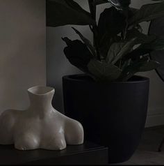 a white vase sitting on top of a table next to a black potted plant