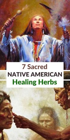 Native American Healing, Native American Remedies, Native American Herbs, Herbal Doctor, Medicinal Herbs Remedies, Native American Food, Herbal Remedies Recipes, Medicinal Herbs Garden, Indigenous Tribes