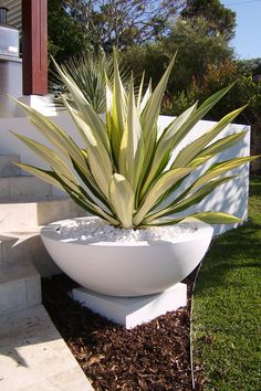 a large white planter sitting on top of a grass covered ground next to stairs