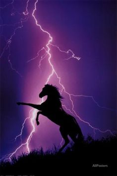 a horse standing on its hind legs in front of a lightning storm with it's tail up