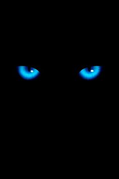 blue eyes glowing in the dark with only one light visible on their left and right side