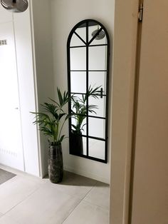 a plant in a vase next to a mirror on the wall