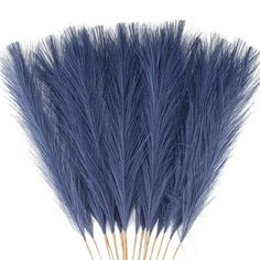 a bunch of blue feathers sitting on top of each other