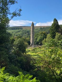 a tall tower sitting in the middle of a forest filled with lush green trees and bushes