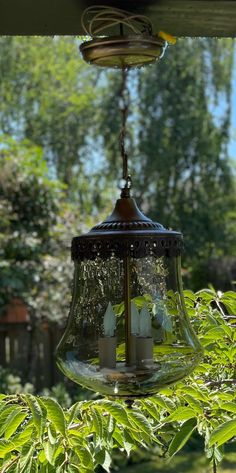 a light hanging from the ceiling in a garden