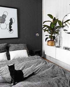 a black cat sitting on top of a bed next to a plant in a vase