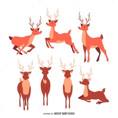 six deers in different poses on a white background