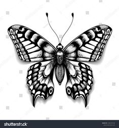 a black and white drawing of a butterfly