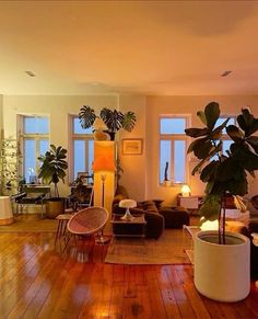 a living room filled with lots of furniture and plants on top of wooden flooring