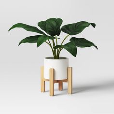 a potted plant sitting on top of a wooden stand