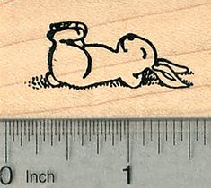 a rubber stamp with a drawing of a dog laying down on it's back