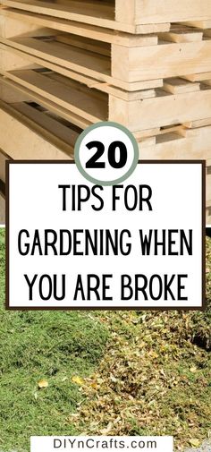 wooden pallets with text overlay that reads 20 tips for gardening when you are broke