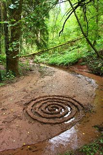 a muddy path in the middle of a wooded area with a spiral design on it