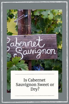 Cabernet Sauvignon  Vineyard Best Wine For Sangria, Napa Trip