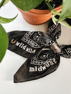 a black bandana with white writing on it and a potted plant in the background