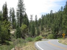 an empty road in the middle of a forest with trees on both sides and a yellow traffic sign at the end