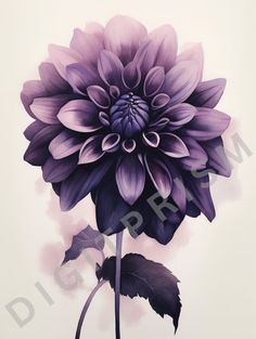 a painting of a purple flower on a white background