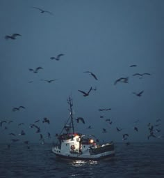 a boat in the water with seagulls flying around it