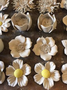 some white flowers are on a table and one is cut out to look like they have yellow centers