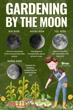 Gardening by The Moon – Very Short Guide #gardening #moon #moongardening #lunar #lunargardening #gardeningbythemoon #mooninfluence Moon Garden Aesthetic, Moon Garden At Night, Moon Garden Ideas, Lunar Garden, Moon Gardening, Gardening By The Moon, Moon Gardens, Homestead Gardens