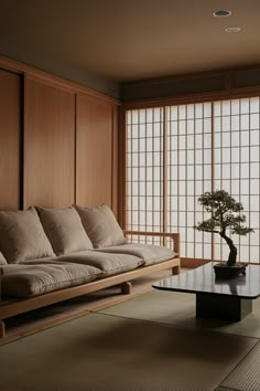 a living room filled with furniture and a bonsai tree