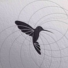 a black and white photo of a bird flying in the air with circles around it