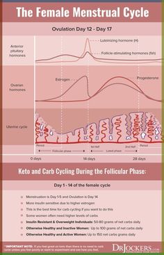 In this article, I will go over ways for women to implement the ketogenic diet with carb cycling that are optimal for female hormonal health. Carb Cycling For Women, Cycling For Women, Keto Carb Cycling, Keto Benefits, Carb Cycling Diet, Estrogen Hormone, Keto For Women