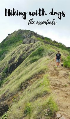 a man hiking up a hill with the words hiking with dogs the essentials