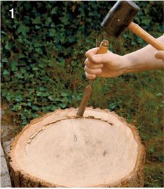 Stump Planter, Tree Stump Planter, Log Planter, Front Garden Landscape, Garden Crafts Diy, Front Garden, Bits And Bobs