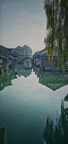 the water is reflecting buildings and trees