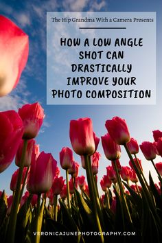 Change the angle in photography and change the end result. Why a low angle shot takes an image from ordinary to stunning. Low Angle Photography Ideas, Angles In Photography, High Angle Shot Photography, Wedding Photo Tips, Low Angle Photography, Photography Angles, Composition Tips, Wildlife Photography Tips, Camera Basics