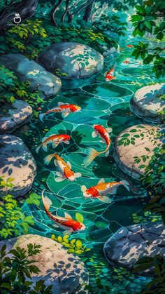 a painting of koi fish swimming in a pond surrounded by rocks and greenery