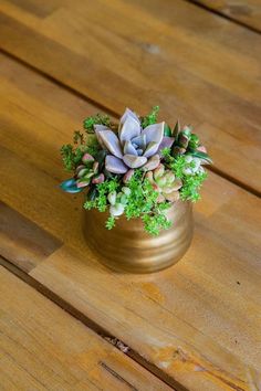 a small potted plant sitting on top of a wooden table covered in greenery