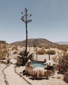 two men sitting in an outdoor hot tub surrounded by desert scrubbery and cactus trees