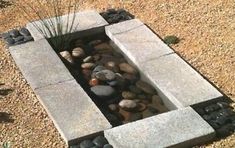 there is a small pond in the middle of some rocks and gravel with plants growing out of it