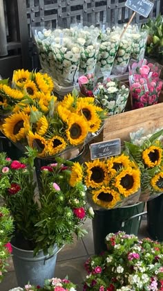 sunflowers and other flowers for sale in buckets