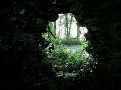 an open doorway in the side of a forest filled with trees and bushes at night