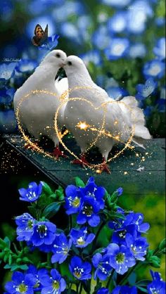 two white birds sitting on top of a blue flower next to a butterfly and heart